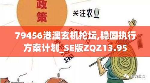 79456港澳玄机抡坛,稳固执行方案计划_SE版ZQZ13.95