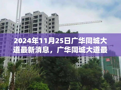 广华同城大道最新动态及全面指南，获取与理解相关信息的途径与解读方法