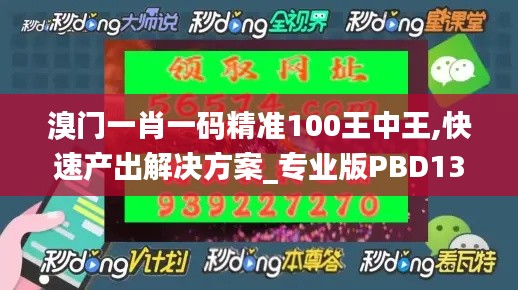 溴门一肖一码精准100王中王,快速产出解决方案_专业版PBD13.61