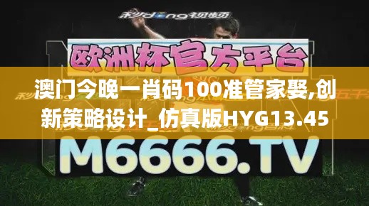 澳门今晚一肖码100准管家娶,创新策略设计_仿真版HYG13.45