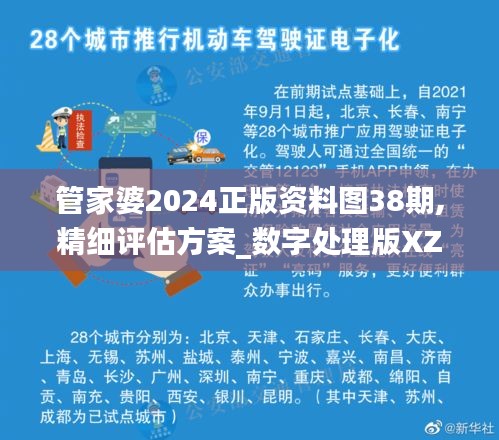 管家婆2024正版资料图38期,精细评估方案_数字处理版XZQ13.71