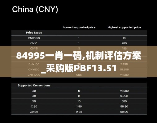 84995一肖一码,机制评估方案_采购版PBF13.51