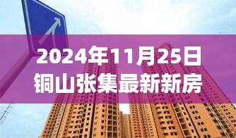 铜山张集最新新房房价动态及解析（2024年11月25日观察报告）