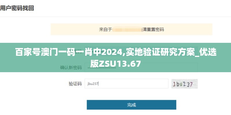 百家号澳门一码一肖中2024,实地验证研究方案_优选版ZSU13.67