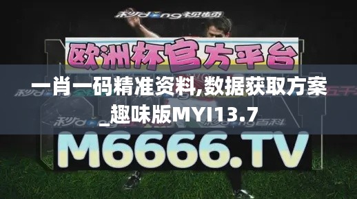 一肖一码精准资料,数据获取方案_趣味版MYI13.7