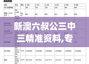 新澳六叔公三中三精准资料,专业数据解释设想_TabletIOP13.24