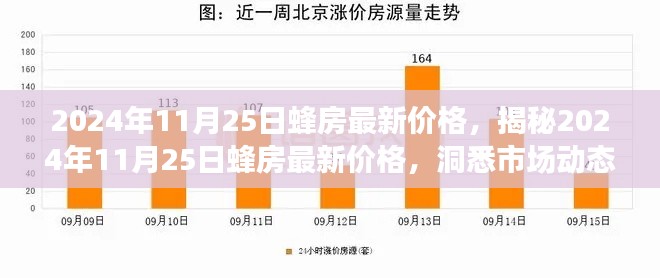 揭秘，2024年蜂房最新价格及市场动态与价值走向分析