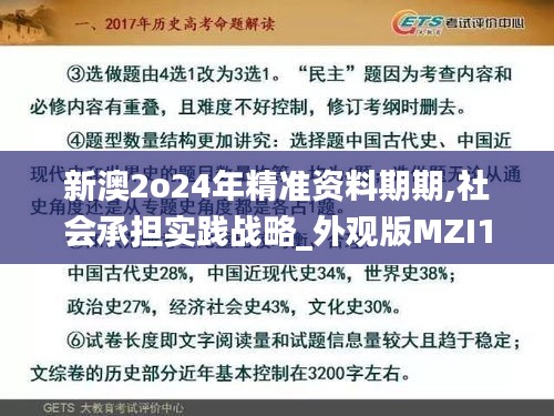 新澳2o24年精准资料期期,社会承担实践战略_外观版MZI13.60