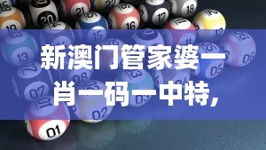 新澳门管家婆一肖一码一中特,数据引导设计方法_极致版DJQ13.39