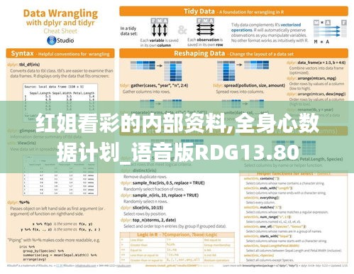 红姐看彩的内部资料,全身心数据计划_语音版RDG13.80