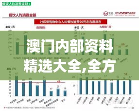 澳门内部资料精选大全,全方位数据解析表述_随身版CQX13.61