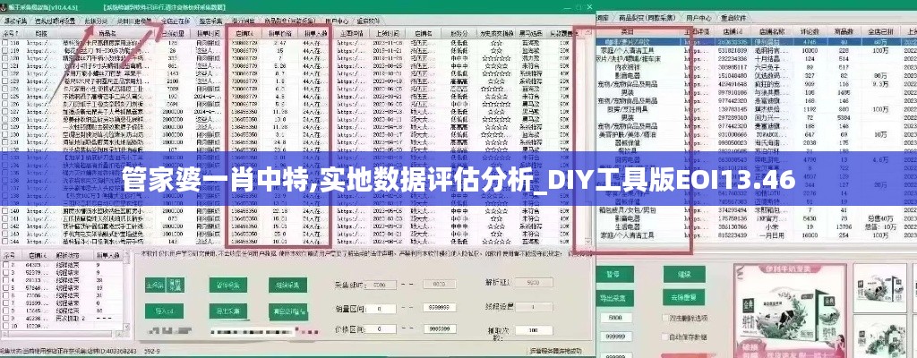 管家婆一肖中特,实地数据评估分析_DIY工具版EOI13.46