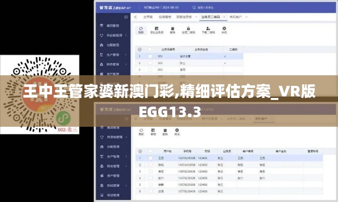 王中王管家婆新澳门彩,精细评估方案_VR版EGG13.3