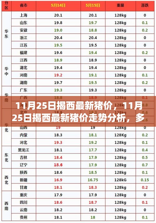 11月25日揭西最新猪价走势分析，多方观点与个人立场碰撞