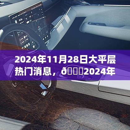 🌟大平层市场热门消息解析，揭秘2024年11月28日最新动态🌟