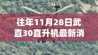 往年11月28日武直-30直升机最新消息深度分析与观点阐述