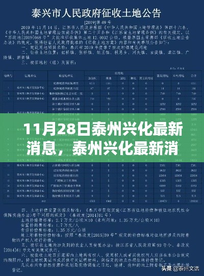 泰州兴化最新消息汇总，聚焦要点解析（11月28日更新版）