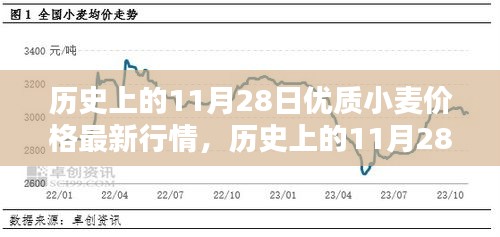 历史上的11月28日优质小麦价格最新行情深度解析