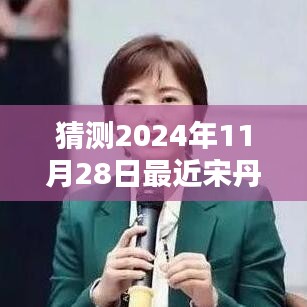 宋丹丹新剧预测指南，揭秘2024年11月28日最新电视剧猜测与期待！