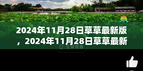 2024年11月28日草草最新版产品评测与详细介绍