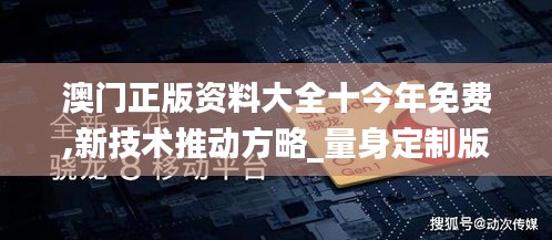 澳门正版资料大全十今年免费,新技术推动方略_量身定制版UTN13.35