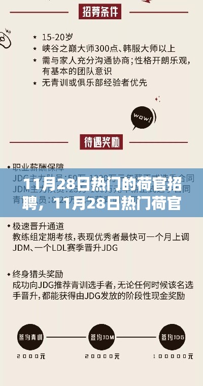 11月28日荷官招聘热点，行业趋势与求职指南全解析