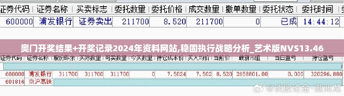 奥门开奖结果+开奖记录2024年资料网站,稳固执行战略分析_艺术版NVS13.46