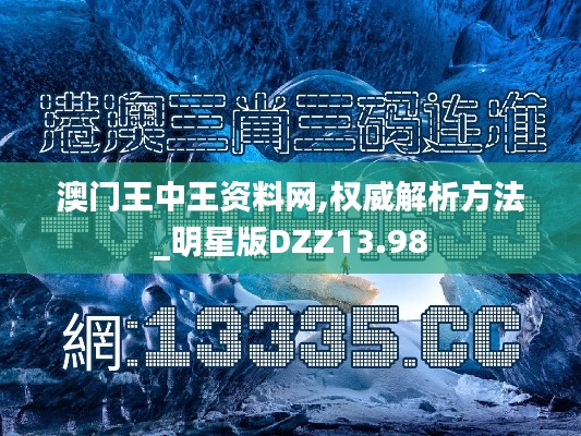 澳门王中王资料网,权威解析方法_明星版DZZ13.98