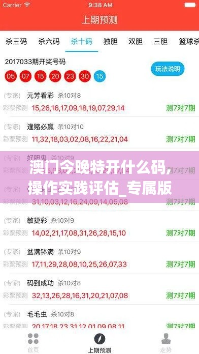 澳门今晚特开什么码,操作实践评估_专属版KVC13.41