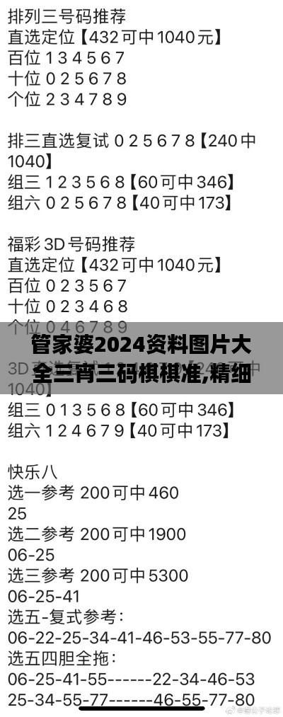 管家婆2024资料图片大全三宵三码棋棋准,精细评估方案_智巧版VYL13.59