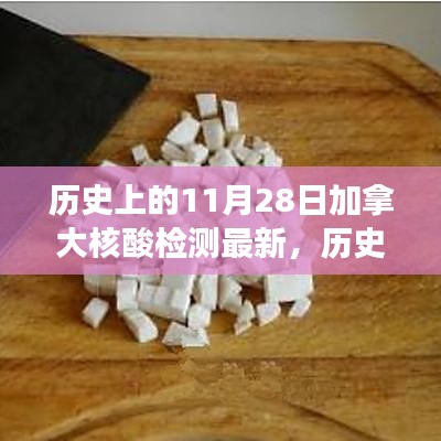 历史上的11月28日加拿大核酸检测最新进展全面解析与评测