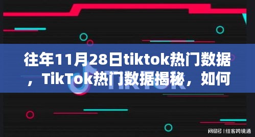 揭秘往年11月28日TikTok流行趋势与热门数据解析