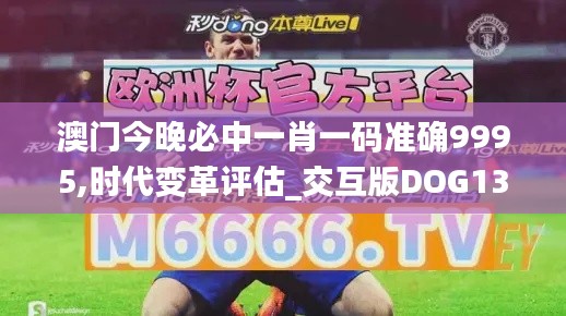 澳门今晚必中一肖一码准确9995,时代变革评估_交互版DOG13.74