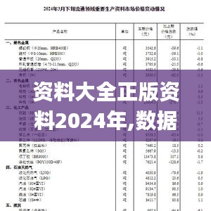 资料大全正版资料2024年,数据解释说明规划_SE版CBE13.41