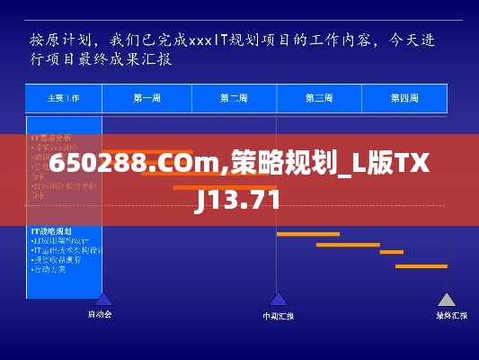 650288.COm,策略规划_L版TXJ13.71