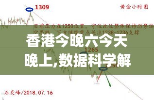 香港今晚六今天晚上,数据科学解析说明_见证版IBR13.37