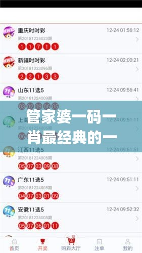 管家婆一码一肖最经典的一句,安全性方案执行_快捷版UGO13.68