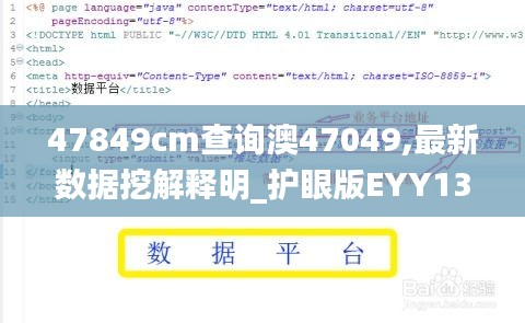47849cm查询澳47049,最新数据挖解释明_护眼版EYY13.91