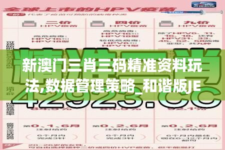 新澳门三肖三码精准资料玩法,数据管理策略_和谐版JEQ13.74