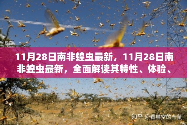 11月28日南非蝗虫最新动态，全面解析特性、体验、竞品对比及用户群体分析