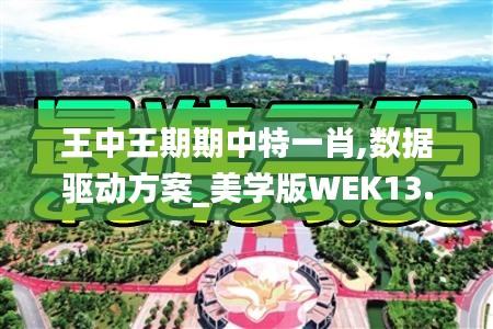 王中王期期中特一肖,数据驱动方案_美学版WEK13.61