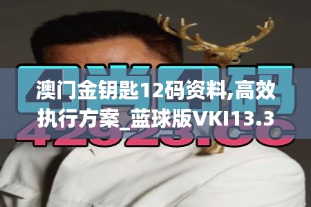 澳门金钥匙12码资料,高效执行方案_蓝球版VKI13.31