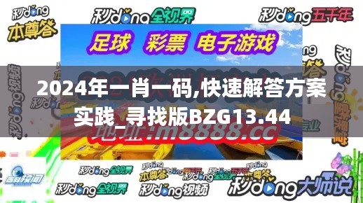 2024年一肖一码,快速解答方案实践_寻找版BZG13.44