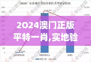 2O24澳门正版平特一肖,实地验证研究方案_定向版VPO13.5