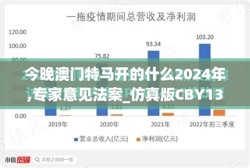 今晚澳门特马开的什么2024年,专家意见法案_仿真版CBY13.91