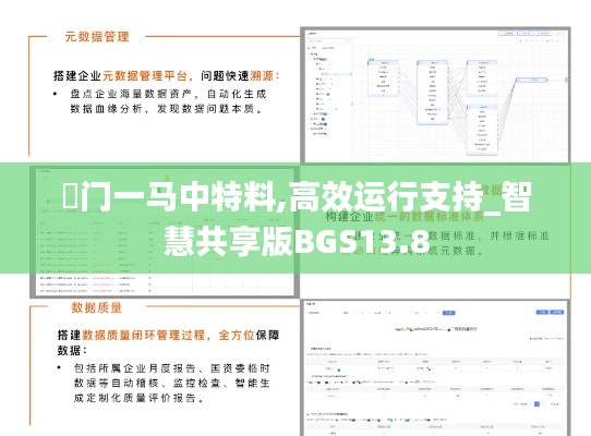 澚门一马中特料,高效运行支持_智慧共享版BGS13.8