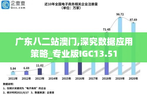 广东八二站澳门,深究数据应用策略_专业版IGC13.51