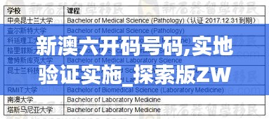 新澳六开码号码,实地验证实施_探索版ZWO13.95