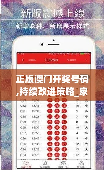 正版澳门开奖号码,持续改进策略_家居版HSW13.20