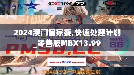 2024澳门管家婆,快速处理计划_零售版MBX13.99